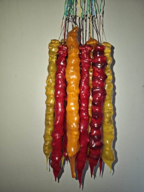 WhatsApp Image 2023-10-10 at 16.23.37