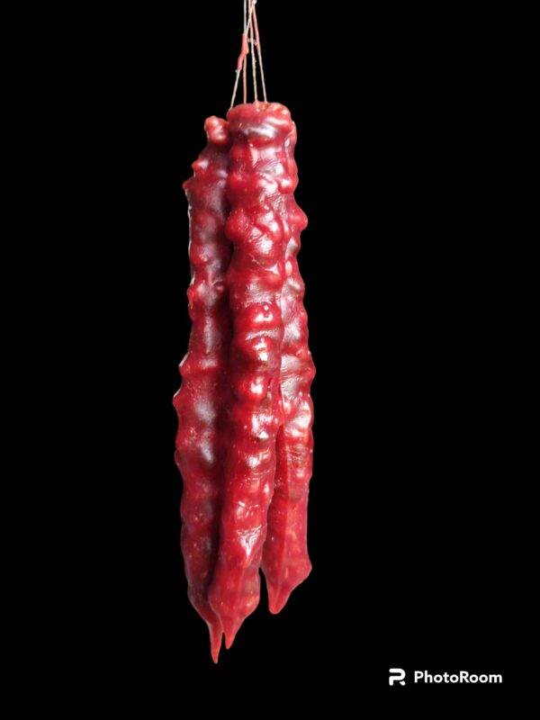 WhatsApp Image 2023-10-10 at 16.30.56